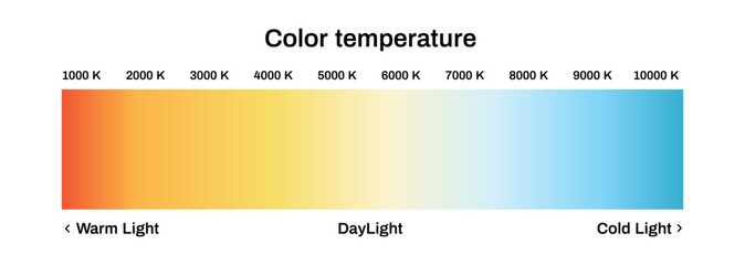 Light color temperature scale. Led diagram with warm and daylight spectrum halogen and cool spectrum infographics vector design