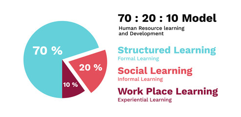 Human resource training and development pie chart. Social and structural management with improved education and development of career vector leadership at work