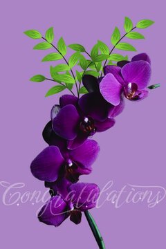 congratulations card with branch of lilac