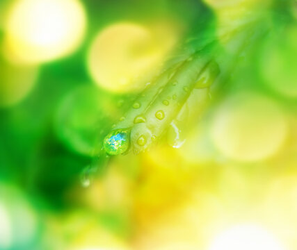 Earth in water drop