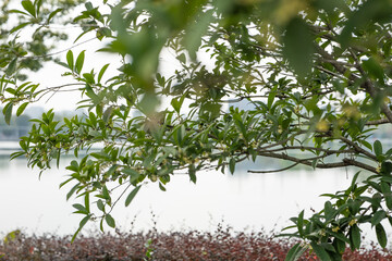 Take children to play in city parks, city infrastructure, parks, toys, cars, climbing equipment, places for children to play