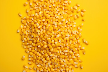 Illustration of corn kernels - 790082688