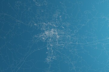 Map of the streets of Tuscaloosa (Alabama, USA) made with white lines on blue paper. Rough background. 3d render, illustration