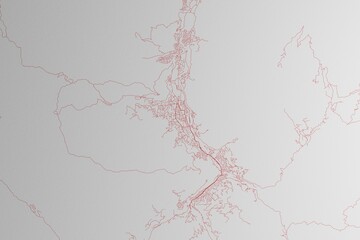Map of the streets of Thimphu (Bhutan) made with red lines on white paper. 3d render, illustration