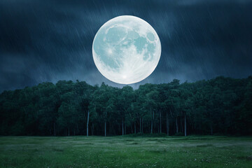 full moon over the forest