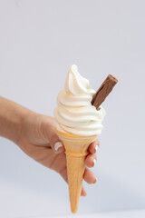 Ice Cream Treats to Beat the Heat ☀️🍦99 Flake