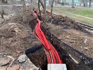 Red pipes lying in dirt trench, disrupting terrestrial plant growth