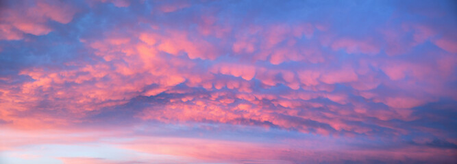 colorful sunset sky with mammatus clouds, pink and purple colored