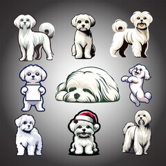 Maltese Dog clipart collection