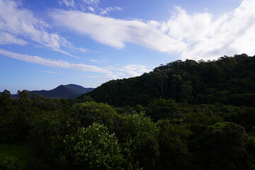 Mata Montanha Verde e Ceu