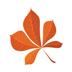 Set of colorful autumn maple and oak leaves, viburnum and acorns and leaves on a twig. Illustration in flat simple style. Vector element for design isolated on white background. autumn symbol.