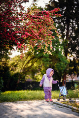 A young child in a purple suit takes a springtime stroll with a toy stroller against a backdrop of vibrant pink blossoms, capturing the joy of nature