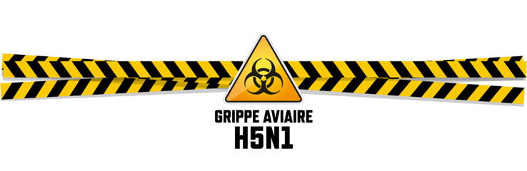 Grippe aviaire - H5N1 - 790113002