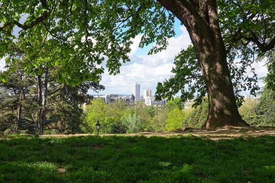 Vue sur un parc et la ville au loin au printemps