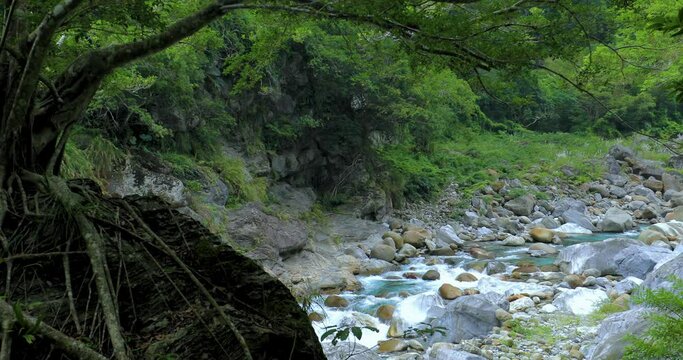 Taiwan, Hualien, Taroko, Scenic Area, Sanda Creek, Boulder, Big Tree