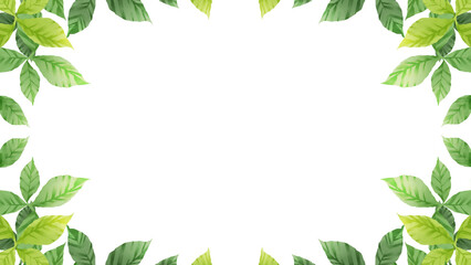 自然の景色　葉っぱ　木々　水彩画　素材　枠　囲み　飾り枠　見出し　タイトル　シンプル　キラキラ　初夏　夏　白背景　透過　16:9