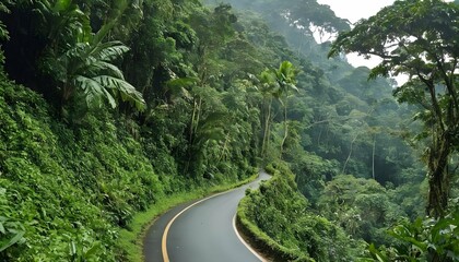 Fototapeta na wymiar A narrow road winding through a lush green rainfor upscaled 8