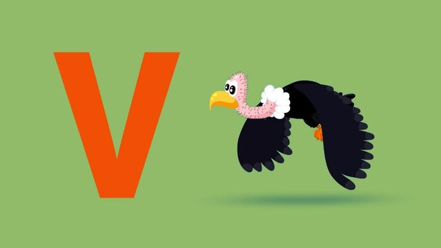 
V letter big color like vulture cartoon animation. Animal loop. Educational serie with bold style character for children. Good for education movies, presentation, learning alphabet, etc...