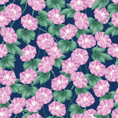 Seamless pattern of beautiful candy pink morning glory flowers. It's a pattern that looks feminine. Pattern for fabric and wrapping paper, Pattern for design wallpaper and fashion prints.