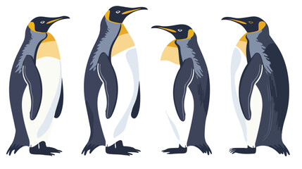 Emperor penguins Antarctic birds characters. South po