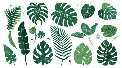 Fototapeta na wymiar Exotic leaf set. Tropical jungle leaves. Green foliag