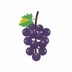 a bunch of grapes with a leaf on top