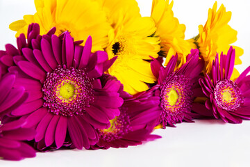 Cropped detail of Bouquet of purple and yellow gerberas laying and  isolated on white background....