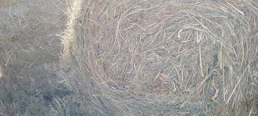 Closeup, side view of a round hay bale