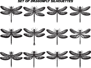 Vector collection of Dragonfly Silhouette. Dragonfly icon set.