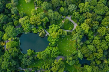 Aerial View of Lush Green Park