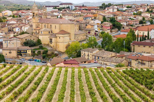 Town of Elciego and the vineyards. &Aacute;lava, Basque Country, Spain.