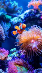 Clown fish swimming gracefully amidst anemones in underwater reef background. beauty of ocean