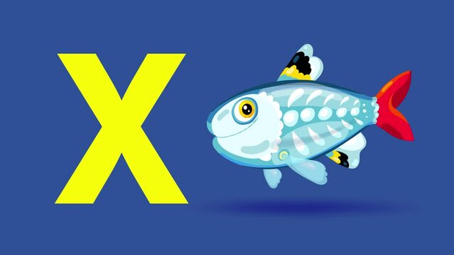 X letter big color x-ray fish cartoon animation. Animal loop. Educational serie with bold style character for children. Good for education movies, presentation, learning alphabet, etc...
