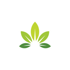 using the concept of cannabis leaf