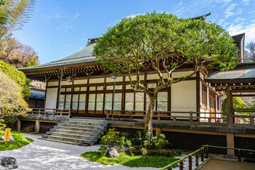 Hokokuji Temple, Kamakura, Japan