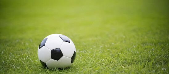 A soccer ball rests on top of a vibrant green soccer field, under the clear sky