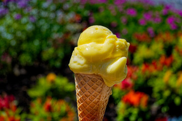 Ice cream cone with a scoop of maracuya ice cream against a blurred background with flowers.