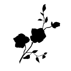 Iris flower, black silhouette, vector.