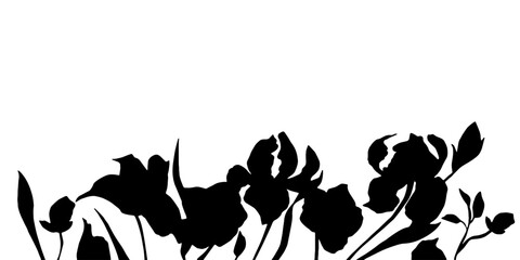 Iris flower, black silhouette, vector.