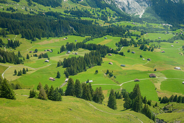 Swiss forest and meadow landscape with huts from a bird's eye view - 790163829