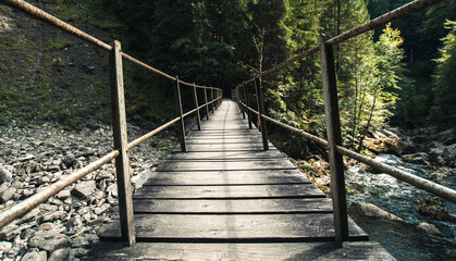 wooden bridge in the forest