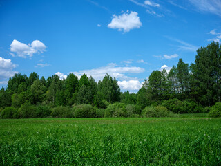 countryside fields in summer with blue sky over green fields