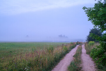 Fototapeta premium Early morning mist by the riverside is green summer
