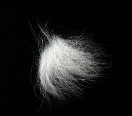 Tuft of white fur, heap gray-haired animal hair isolated on black, top view.
