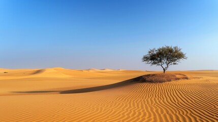Fototapeta na wymiar a flat sand desert