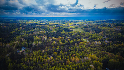 fresh spring forest, view from the drone

