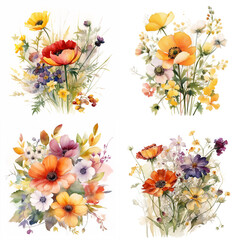watercolor wildflowers clipart floral summer colors isolated on white - obrazy, fototapety, plakaty