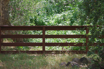 Wooden fence in a sunlit forest lighting