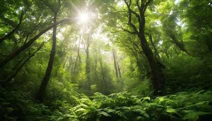 Sunlight filtering through the canopy of a lush gr upscaled 3