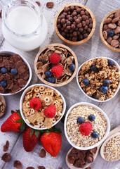 Bowls with different sorts of breakfast cereal products - 790193287